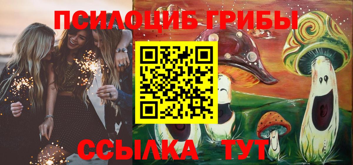 Псилоцибиновые грибы Cubensis Железногорск