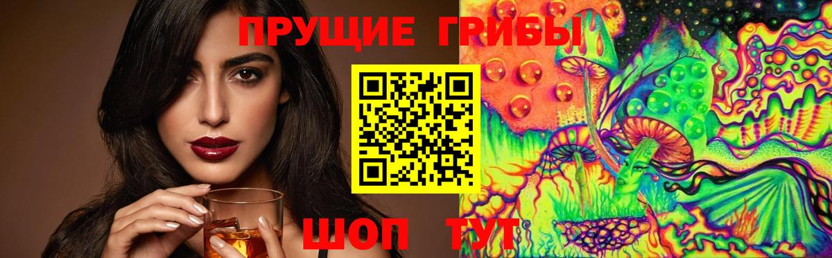 Галлюциногенные грибы Cubensis  Вход с VPN  Железногорск  Псилоцибиновые грибы Cubensis 